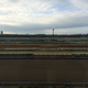Illustration for article titled How Japan Built The Worlds Best Horse Racing